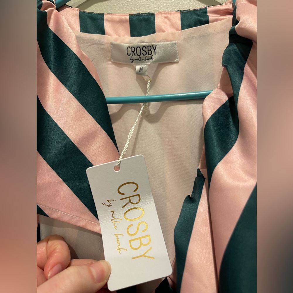 Crosby by Mollie Burch pink and green dress medium - Picture 6 of 6